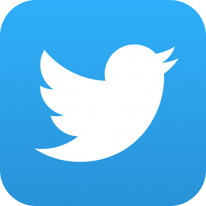 Twitter icon